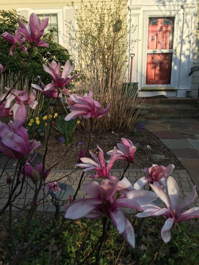 Wellesley Bed And Breakfast Eksteriør bilde